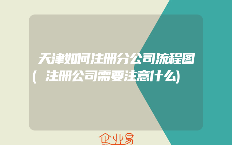 天津如何注册分公司流程图(注册公司需要注意什么)