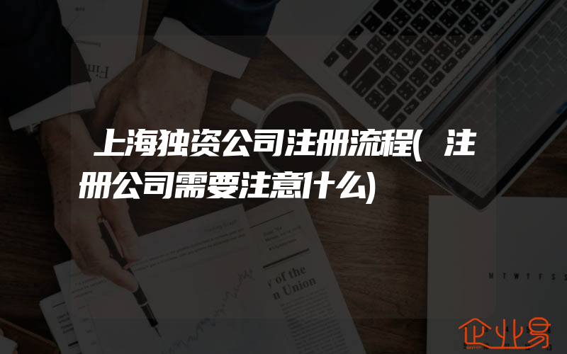 上海独资公司注册流程(注册公司需要注意什么)