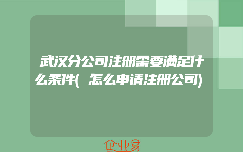 武汉分公司注册需要满足什么条件(怎么申请注册公司)