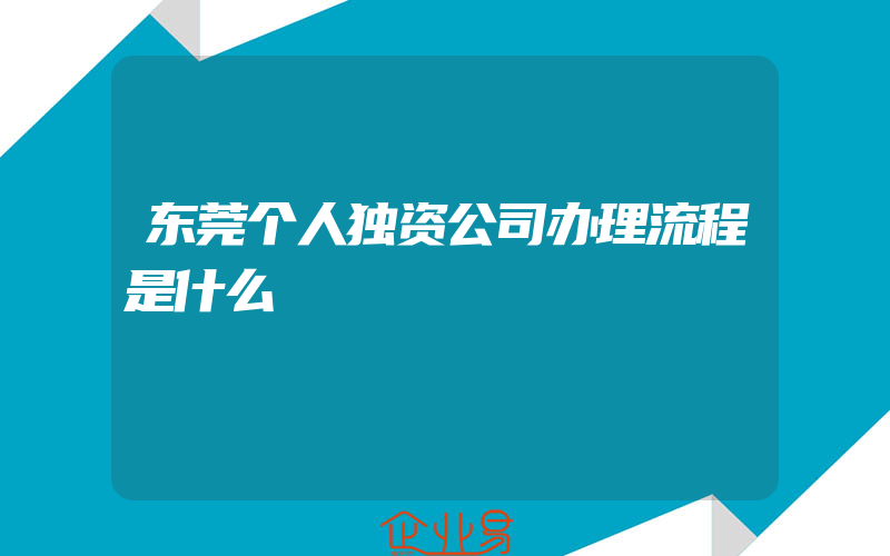 东莞个人独资公司办理流程是什么