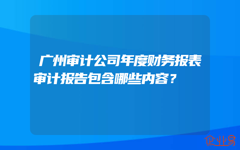 广州审计公司年度财务报表审计报告包含哪些内容？