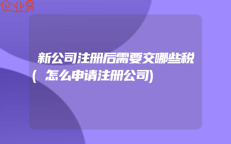 新公司注册后需要交哪些税(怎么申请注册公司)