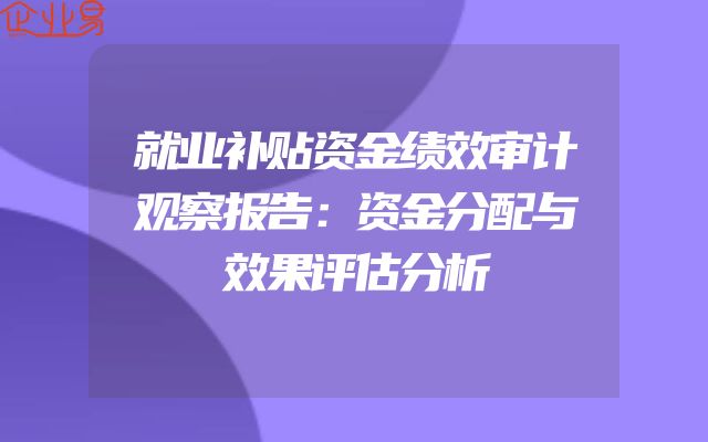 就业补贴资金绩效审计观察报告：资金分配与效果评估分析