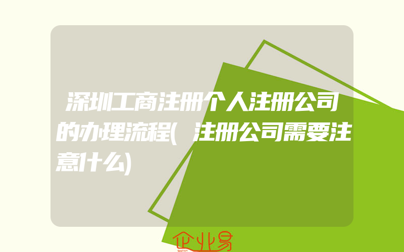 深圳工商注册个人注册公司的办理流程(注册公司需要注意什么)