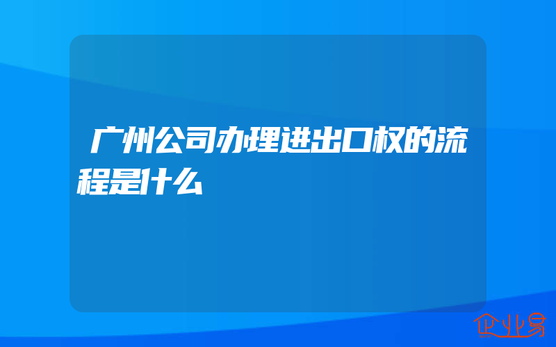 广州公司办理进出口权的流程是什么