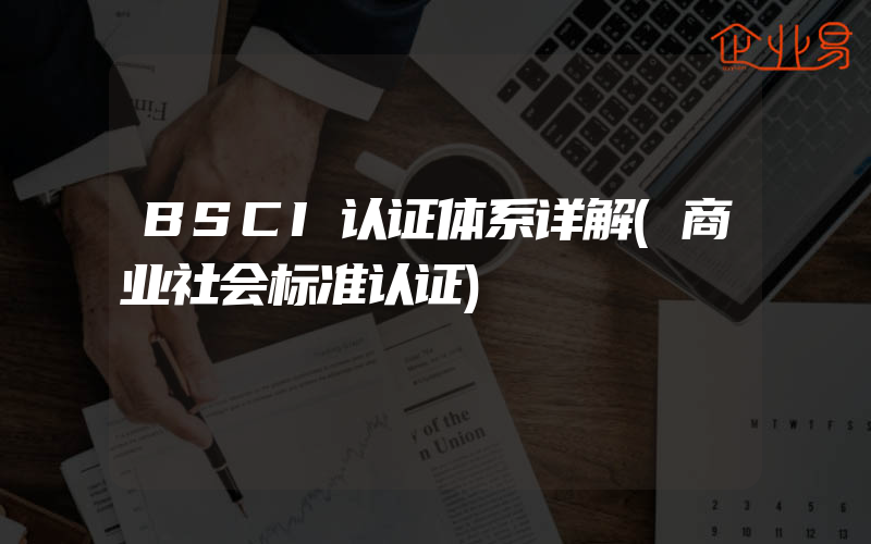 BSCI认证体系详解(商业社会标准认证)