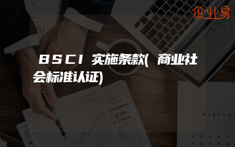 BSCI实施条款(商业社会标准认证)