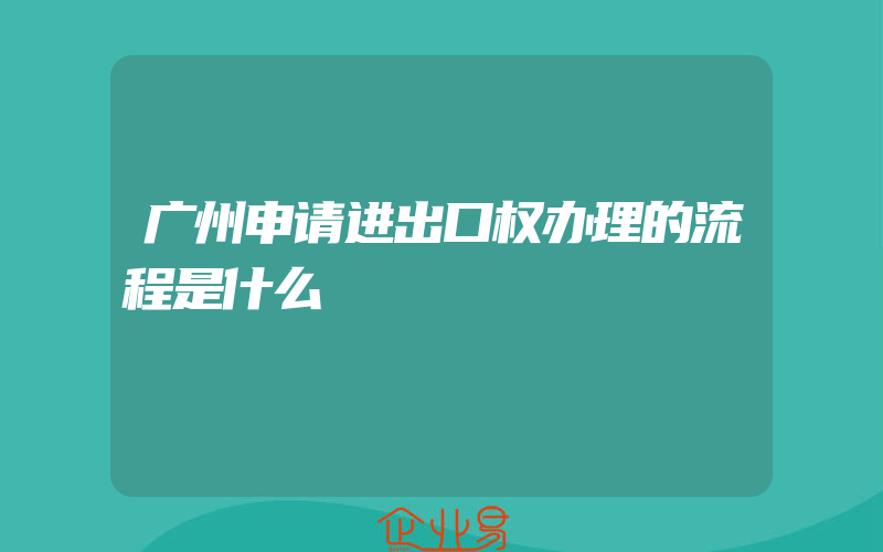 广州申请进出口权办理的流程是什么