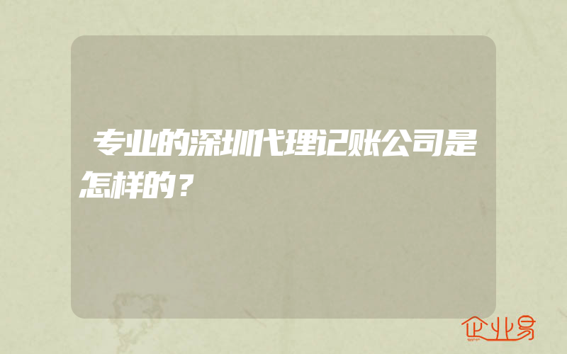 专业的深圳代理记账公司是怎样的？