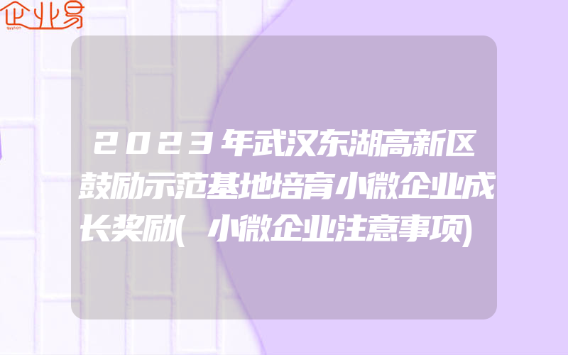 2023年武汉东湖高新区鼓励示范基地培育小微企业成长奖励(小微企业注意事项)