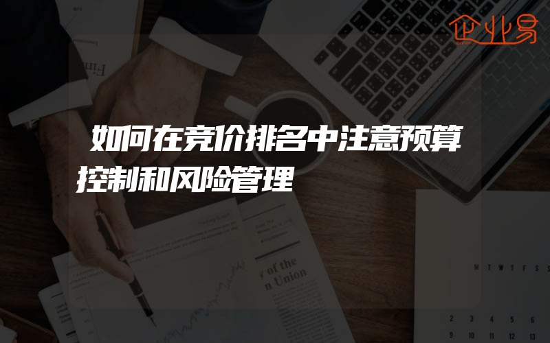 如何在竞价排名中注意预算控制和风险管理