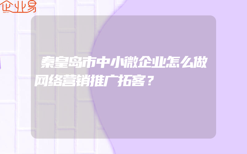 秦皇岛市中小微企业怎么做网络营销推广拓客？