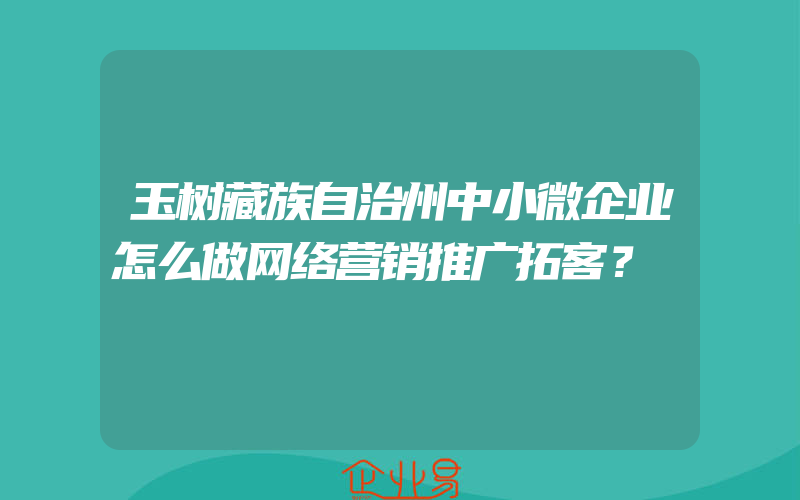 玉树藏族自治州中小微企业怎么做网络营销推广拓客？