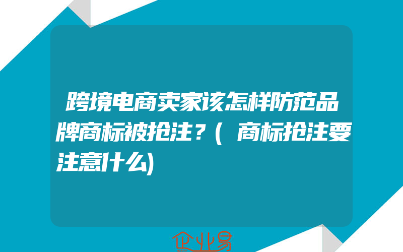 跨境电商卖家该怎样防范品牌商标被抢注？(商标抢注要注意什么)