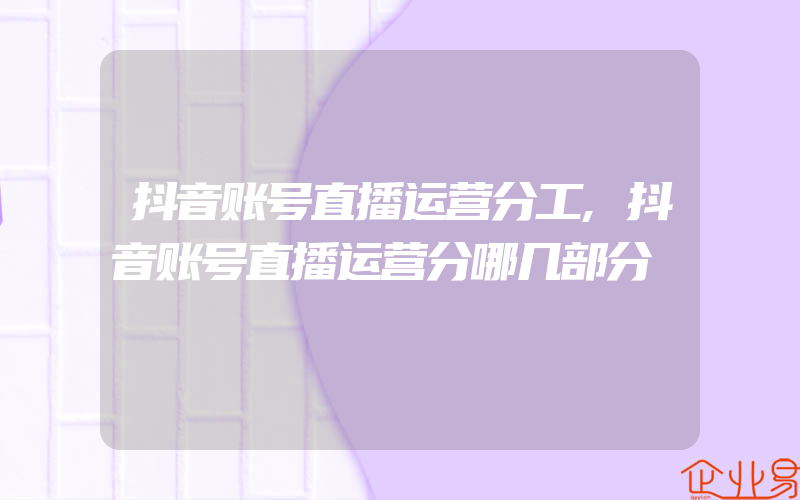 抖音账号直播运营分工,抖音账号直播运营分哪几部分