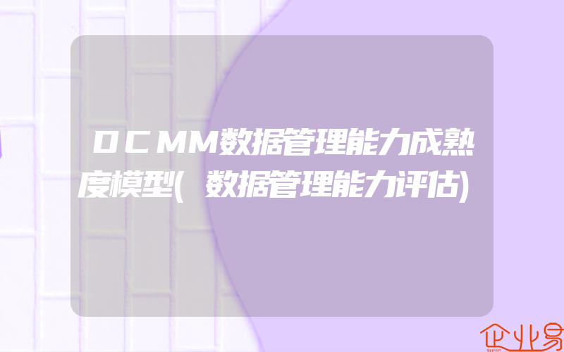 DCMM数据管理能力成熟度模型(数据管理能力评估)