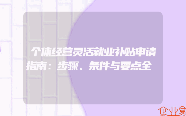 个体经营灵活就业补贴申请指南：步骤、条件与要点全