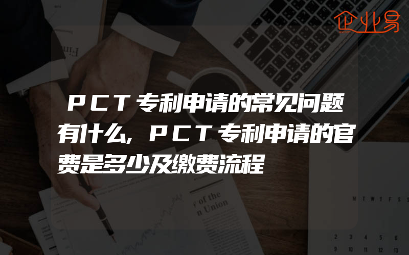 PCT专利申请的常见问题有什么,PCT专利申请的官费是多少及缴费流程