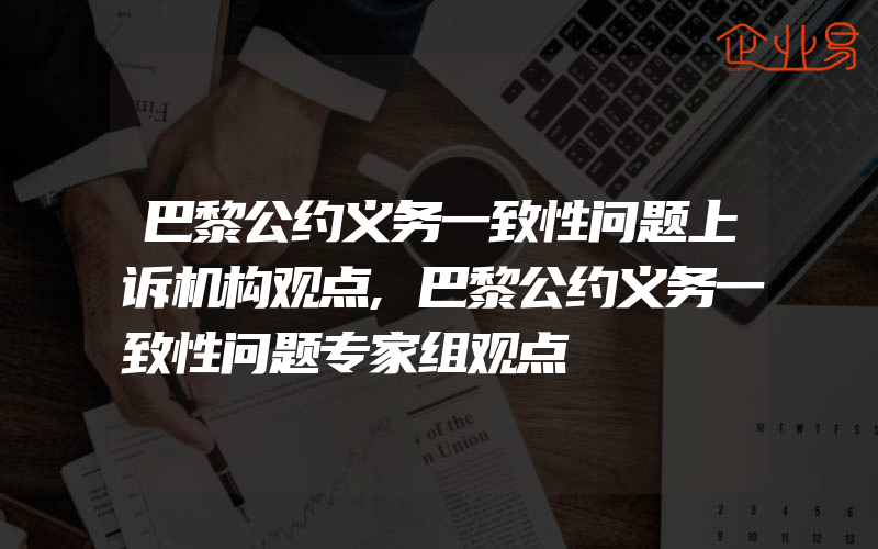 巴黎公约义务一致性问题上诉机构观点,巴黎公约义务一致性问题专家组观点