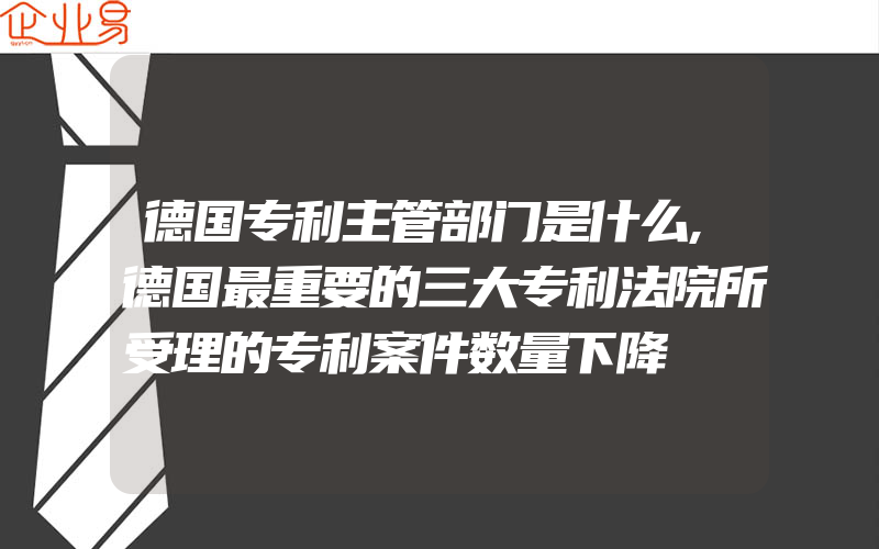 德国专利主管部门是什么,德国最重要的三大专利法院所受理的专利案件数量下降