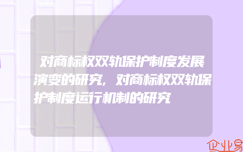 对商标权双轨保护制度发展演变的研究,对商标权双轨保护制度运行机制的研究