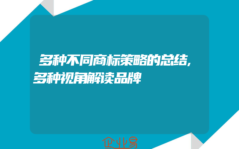 多种不同商标策略的总结,多种视角解读品牌