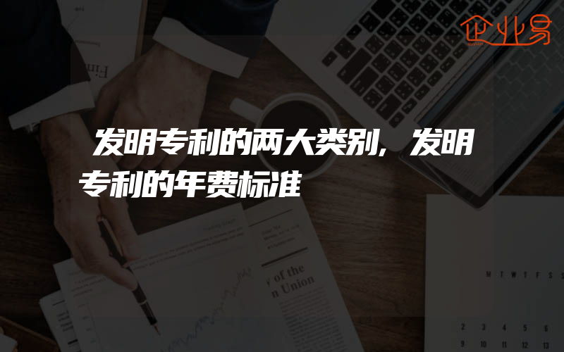 发明专利的两大类别,发明专利的年费标准