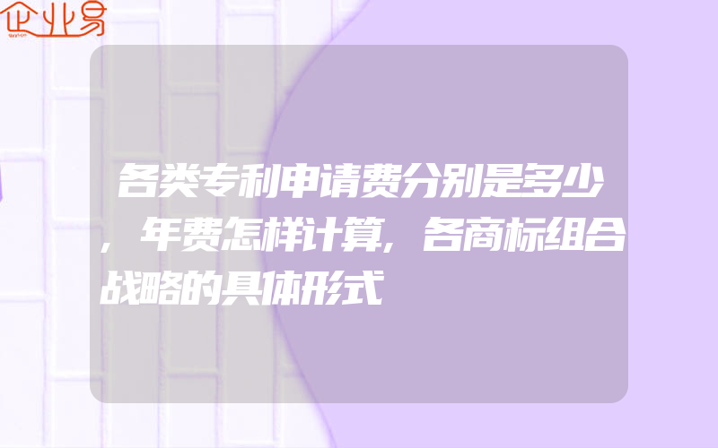 各类专利申请费分别是多少,年费怎样计算,各商标组合战略的具体形式