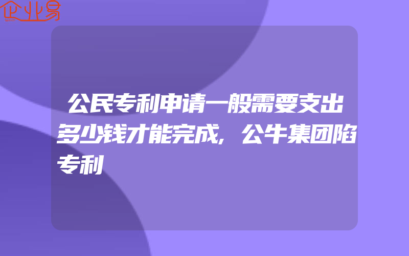 公民专利申请一般需要支出多少钱才能完成,公牛集团陷专利