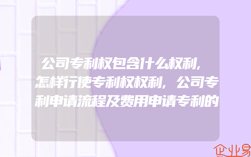 公司专利权包含什么权利,怎样行使专利权权利,公司专利申请流程及费用申请专利的流程和费用多少钱