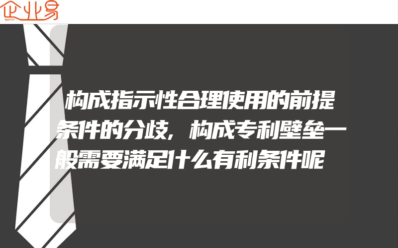 构成指示性合理使用的前提条件的分歧,构成专利壁垒一般需要满足什么有利条件呢