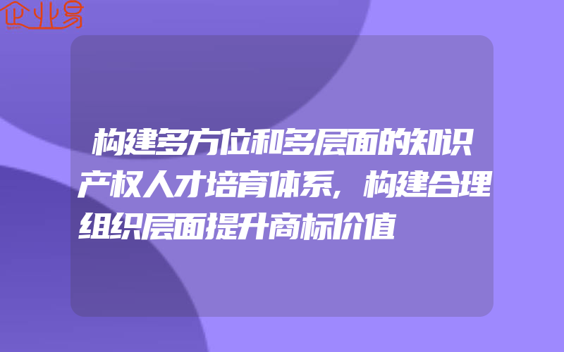 构建多方位和多层面的知识产权人才培育体系,构建合理组织层面提升商标价值