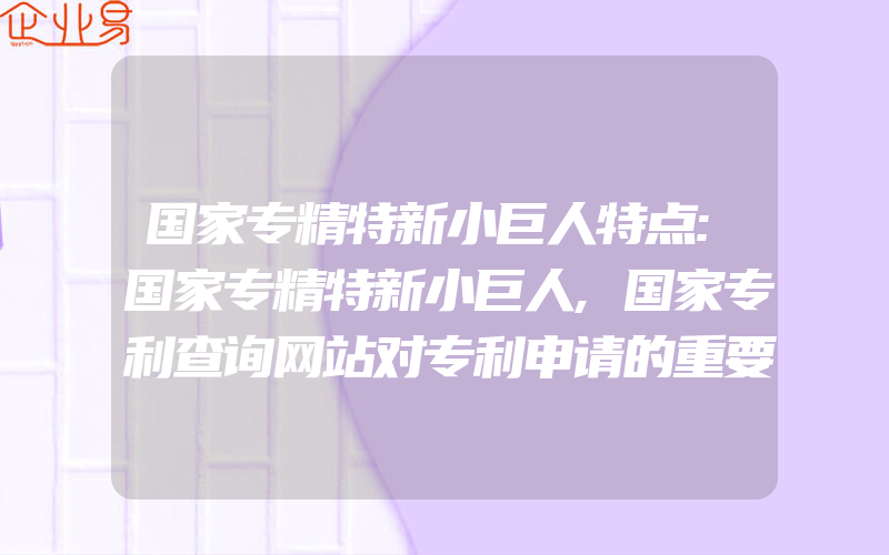 国家专精特新小巨人特点:国家专精特新小巨人,国家专利查询网站对专利申请的重要作用