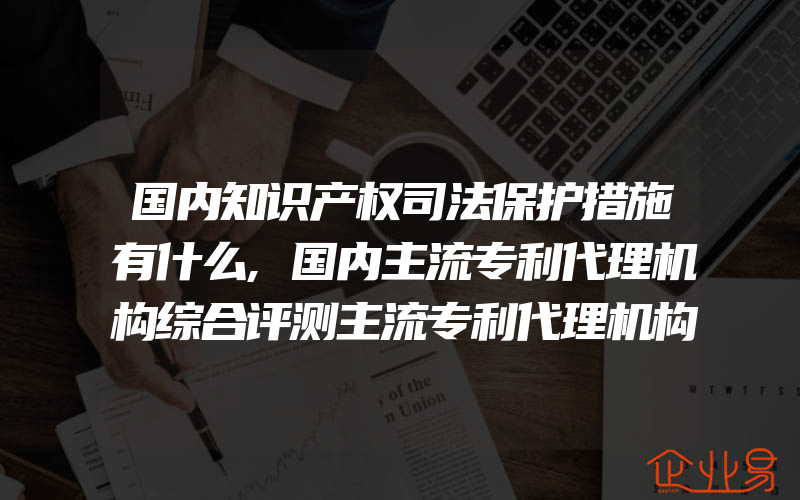 国内知识产权司法保护措施有什么,国内主流专利代理机构综合评测主流专利代理机构有什么