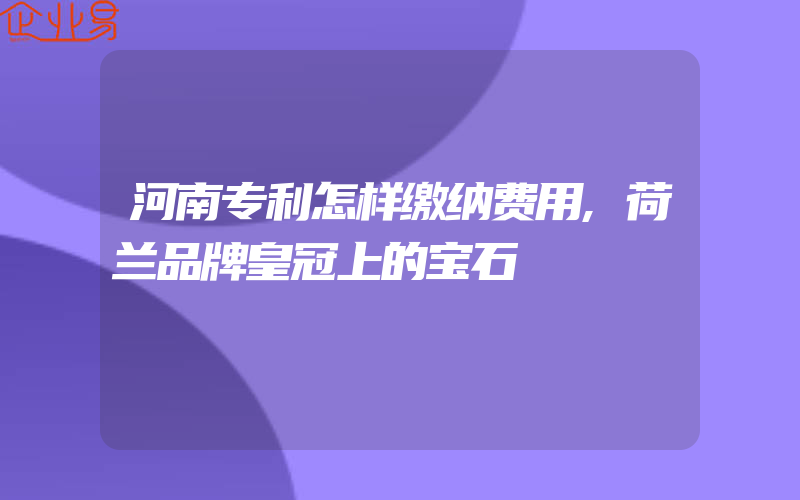 河南专利怎样缴纳费用,荷兰品牌皇冠上的宝石