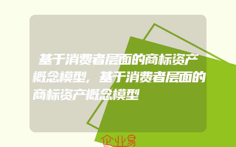 基于消费者层面的商标资产概念模型,基于消费者层面的商标资产概念模型