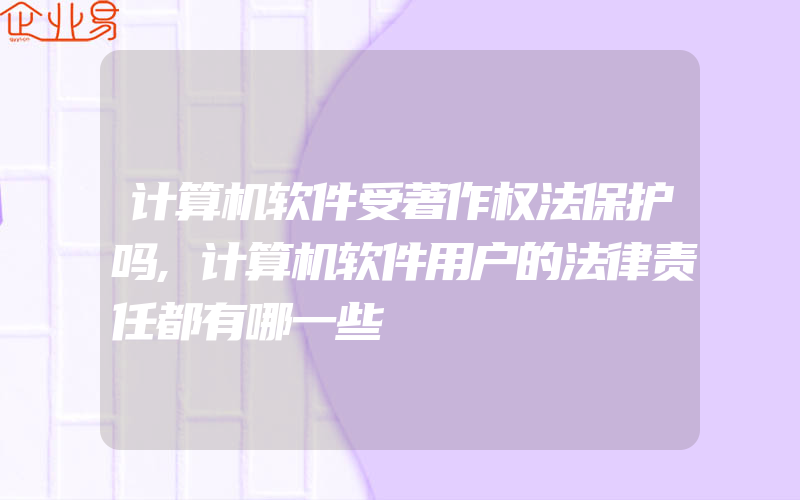 计算机软件受著作权法保护吗,计算机软件用户的法律责任都有哪一些