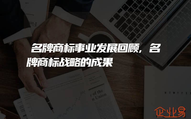 名牌商标事业发展回顾,名牌商标战略的成果