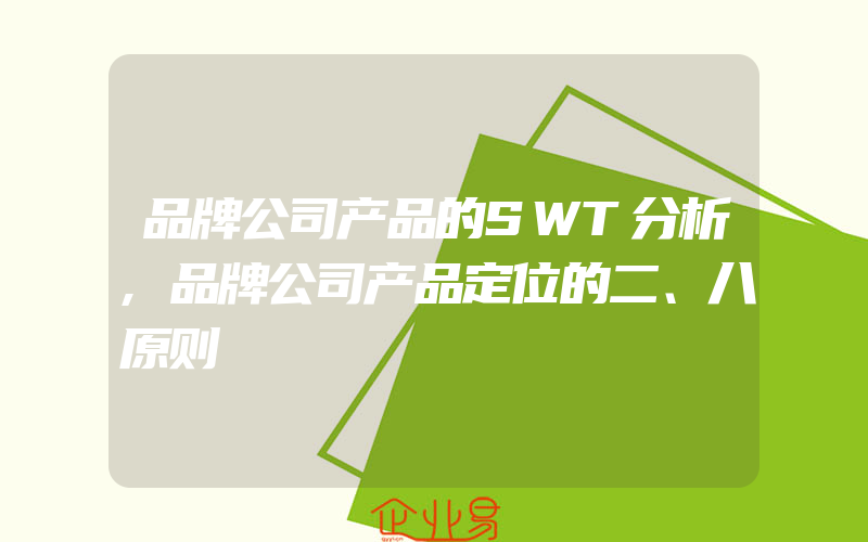 品牌公司产品的SWT分析,品牌公司产品定位的二、八原则