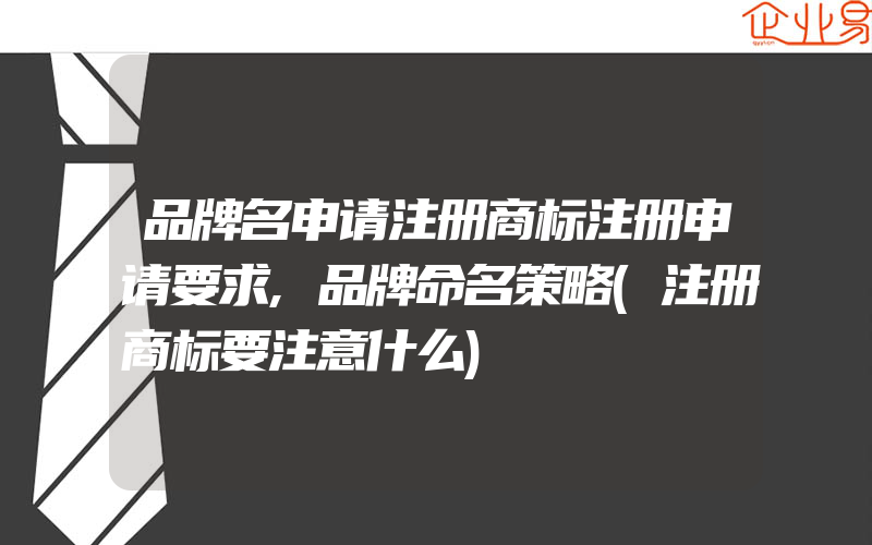 品牌名申请注册商标注册申请要求,品牌命名策略(注册商标要注意什么)