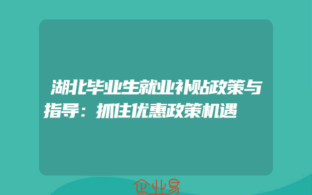 湖北毕业生就业补贴政策解析与指导：抓住优惠政策机遇