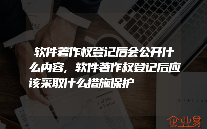 软件著作权登记后会公开什么内容,软件著作权登记后应该采取什么措施保护