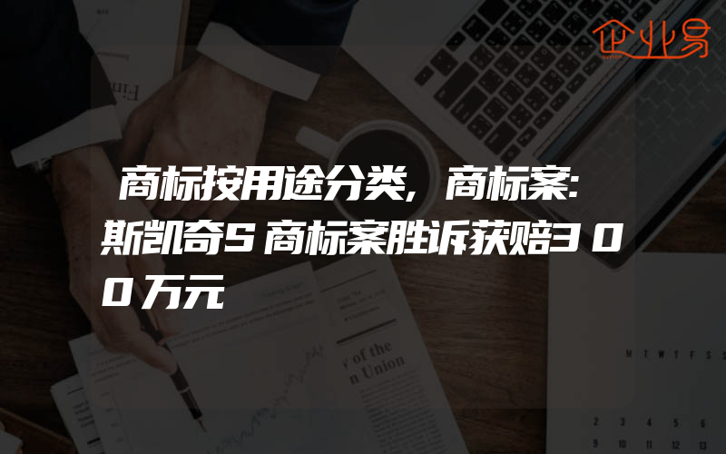 商标按用途分类,商标案:斯凯奇S商标案胜诉获赔300万元