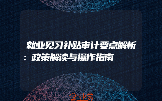 就业见习补贴审计要点解析：政策解读与操作指南