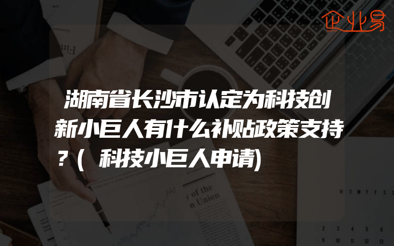 湖南省长沙市认定为科技创新小巨人有什么补贴政策支持？(科技小巨人申请)