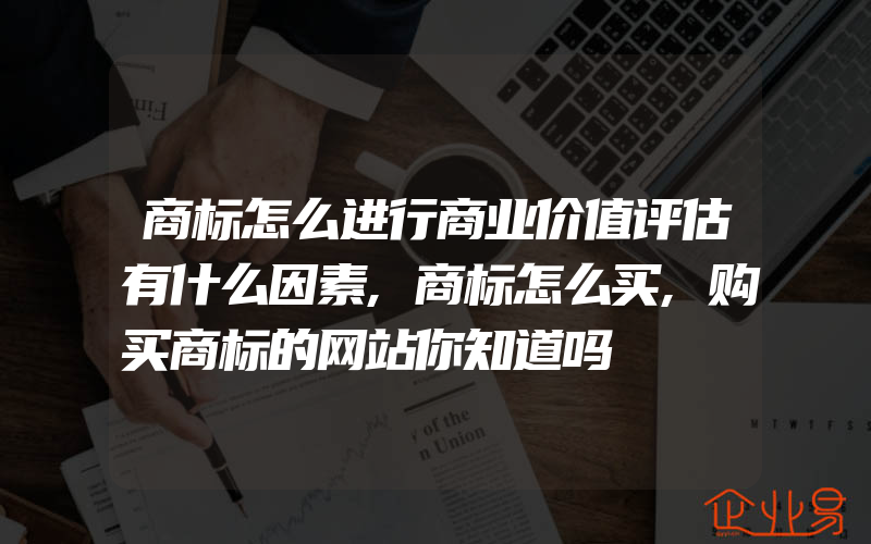 商标怎么进行商业价值评估有什么因素,商标怎么买,购买商标的网站你知道吗