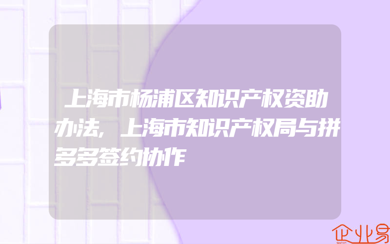 上海市杨浦区知识产权资助办法,上海市知识产权局与拼多多签约协作