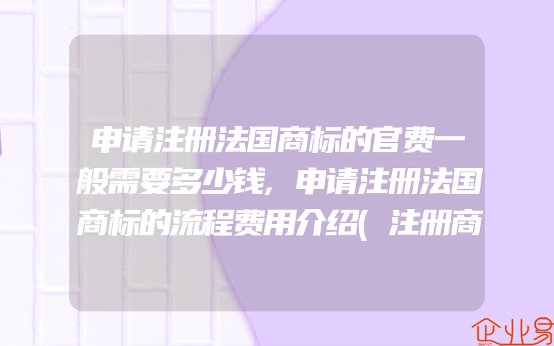 申请注册法国商标的官费一般需要多少钱,申请注册法国商标的流程费用介绍(注册商标要注意什么)