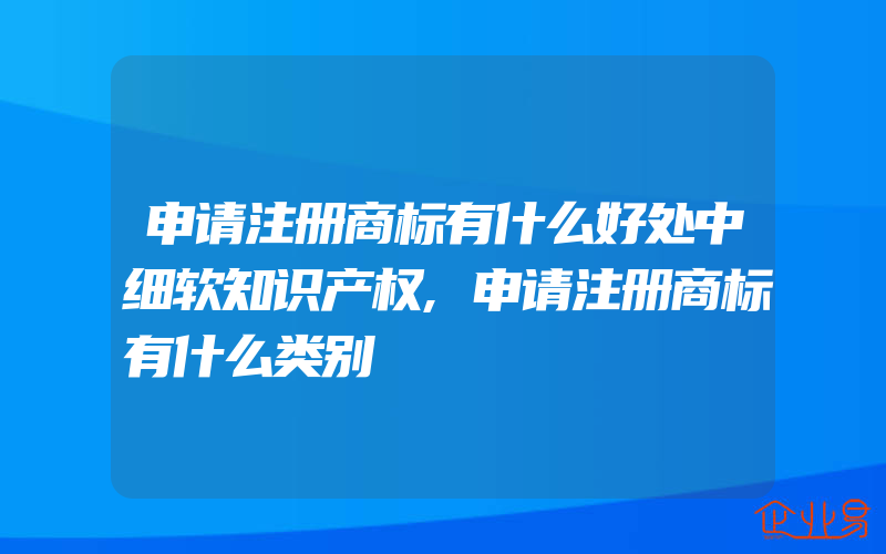 申请注册商标有什么好处中细软知识产权,申请注册商标有什么类别