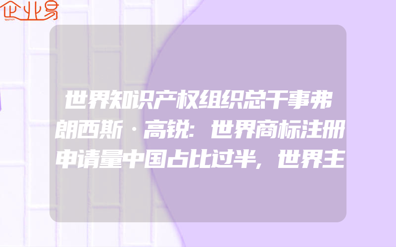 世界知识产权组织总干事弗朗西斯·高锐:世界商标注册申请量中国占比过半,世界主要国家的蓍作权法的发展